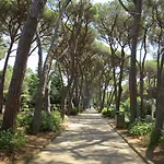 La Casetta By Interhome * Rosignano Marittimo