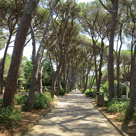 La Casetta By Interhome * Rosignano Marittimo